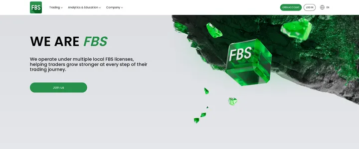 FBS's company page, 'We are FBS', with a large abstract graphic banner