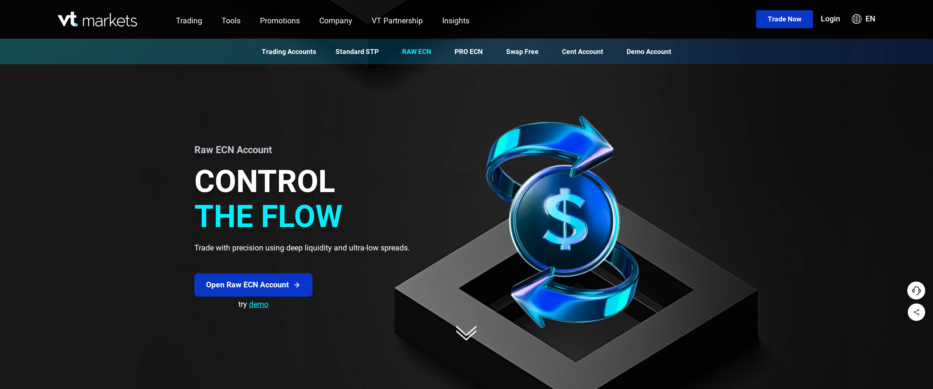 VT Markets Raw ECN account page headline reading Trade with precision using deep liquidity and ultra-low spreads